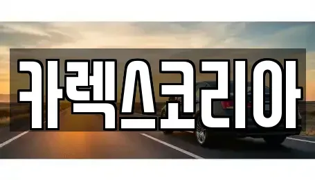 인천 서구 금곡동 중고차 전문 카렉스코리아