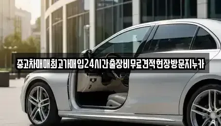 인천 서구 금곡동 중고차매입 전문 중고차매매최고가매입24시간출장비무료견적현장방문지누카