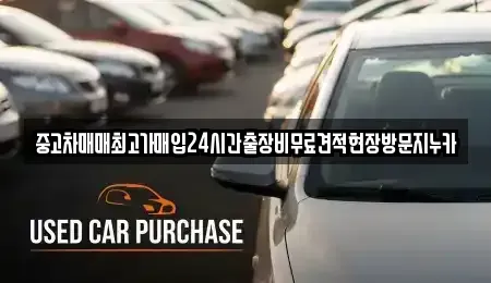 인천 서구 마전동 중고차매입 전문 중고차매매최고가매입24시간출장비무료견적현장방문지누카