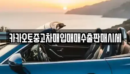 인천 서구 마전동 중고차매입 전문 카카오토중고차매입매매수출판매시세
