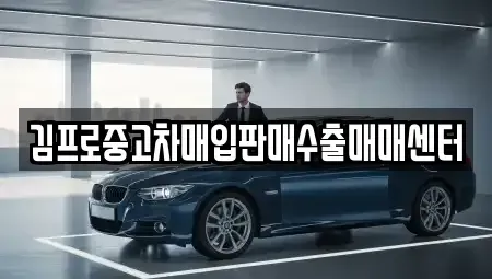 인천 중구 중앙동4가 중고차매입 전문 김프로중고차매입판매수출매매센터