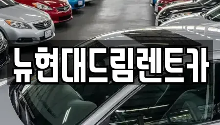 인천광역시 계양구 용종동 렌트카 전문 뉴현대드림렌트카