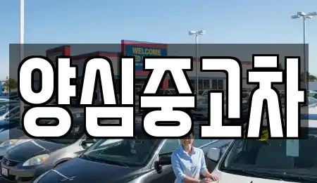 인천광역시 계양구 용종동 중고차 전문 양심중고차