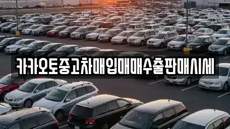 인천광역시 계양구 용종동 중고차 전문 카카오토중고차매입매매수출판매시세