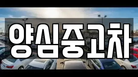 인천광역시 남동구 고잔동 중고차 전문 양심중고차