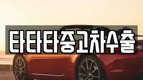 인천광역시 남동구 고잔동 중고차 전문 타타타중고차수출