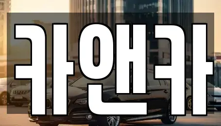 인천광역시 부평구 부평동 장기렌트카 전문 카앤카