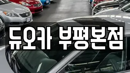 인천광역시 부평구 산곡동 장기렌트카 전문 듀오카 부평본점