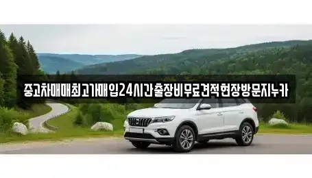 인천광역시 중구 답동 중고차 전문 중고차매매최고가매입24시간출장비무료견적현장방문지누카