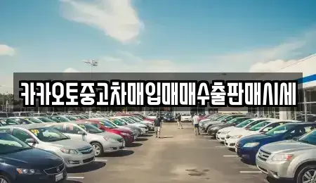 인천광역시 중구 답동 중고차매입 전문 카카오토중고차매입매매수출판매시세