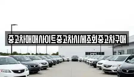 인천광역시 중구 유동 중고차 전문 중고차매매사이트중고차시세조회중고차구매