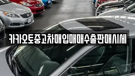 인천광역시 중구 유동 중고차 전문 카카오토중고차매입매매수출판매시세