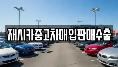 인천광역시 중구 을왕동 중고차매입 전문 재시카중고차매입판매수출