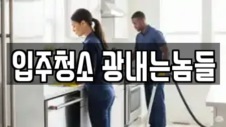 입주청소 광내는놈들