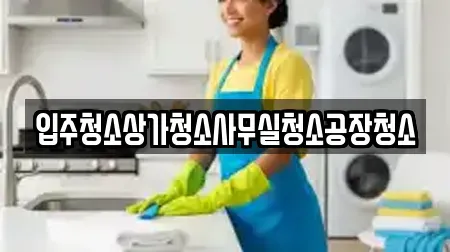 입주청소상가청소사무실청소공장청소