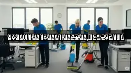 입주청소이사청소거주청소상가청소준공청소,피톤살균무료서비스