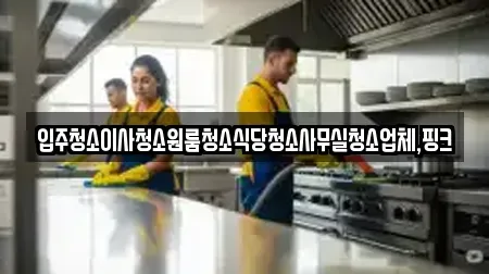 입주청소이사청소원룸청소식당청소사무실청소업체,핑크