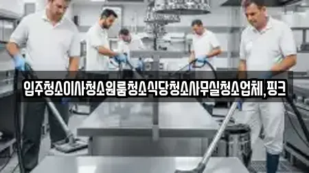 입주청소이사청소원룸청소식당청소사무실청소업체,핑크