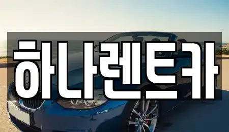 전남 고흥군 포두면 렌트카 전문 하나렌트카