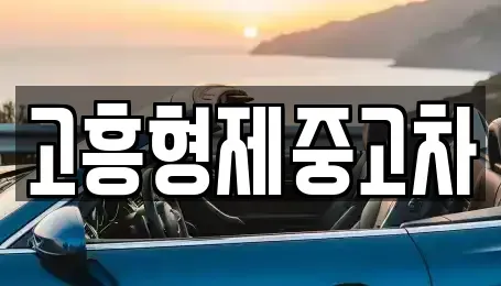 전남 고흥군 포두면 중고차 전문 고흥형제중고차