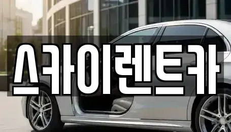 전남 광양시 성황동 렌트카 전문 스카이렌트카