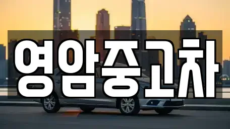 전남 나주시 세지면 중고차,렌트카,중고차매입,중고차매매,장기렌트카,단기렌트카