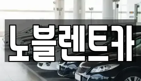 전남 무안군 청계면 렌트카 전문 노블렌트카