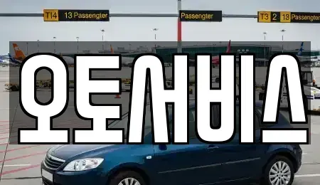 전남 무안군 청계면 중고차 전문 오토서비스