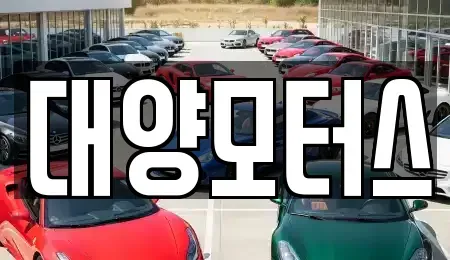전남 무안군 청계면 중고차매매 전문 대양모터스