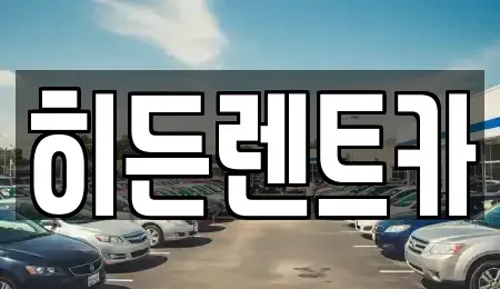 전남 함평군 학교면 장기렌트카 전문 히든렌트카