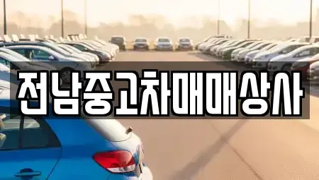 전남 함평군 학교면 중고차매매 전문 전남중고차매매상사