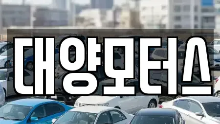 전라남도 광양시 마동 중고차매매 전문 대양모터스