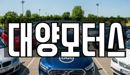 전라남도 나주시 노안면 중고차 전문 대양모터스