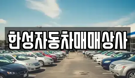 전라남도 나주시 노안면 중고차 전문 한성자동차매매상사