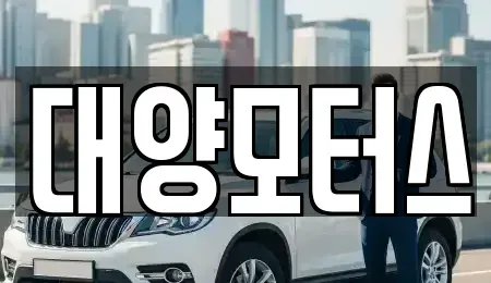 전라남도 나주시 노안면 중고차매매 전문 대양모터스