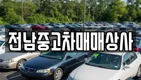 전라남도 나주시 노안면 중고차매매 전문 전남중고차매매상사