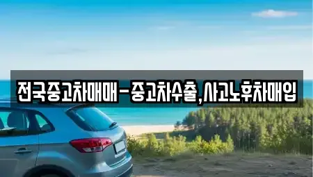 전라남도 나주시 노안면 중고차매입 전문 전국중고차매매-중고차수출,사고노후차매입