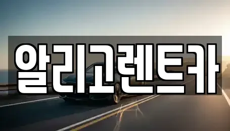 전라남도 담양군 단기렌트카 전문 알리고렌트카