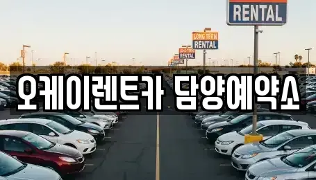 전라남도 담양군 렌트카 전문 오케이렌트카 담양예약소
