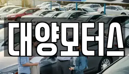 전라남도 목포시 중앙동1가 중고차 전문 대양모터스
