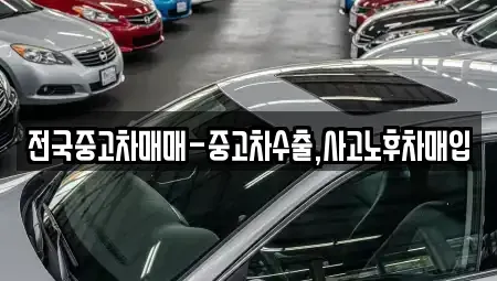 전라남도 목포시 해안동1가 중고차 전문 전국중고차매매-중고차수출,사고노후차매입