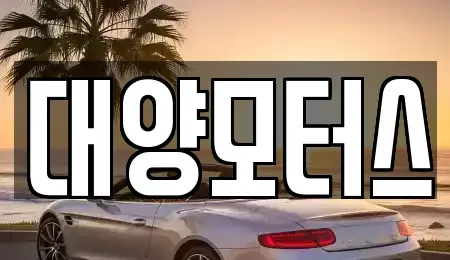 전라남도 순천시 송광면 중고차 전문 대양모터스
