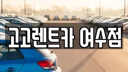 전라남도 여수시 군자동 렌트카 전문 고고렌트카 여수점