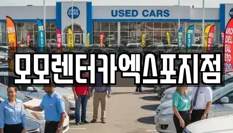 전라남도 여수시 군자동 렌트카 전문 모모렌터카엑스포지점