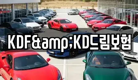 전라남도 여수시 둔덕동 렌트카 전문 KDF&KD드림보험