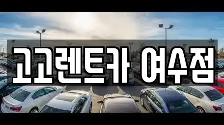 전라남도 여수시 렌트카 전문 고고렌트카 여수점