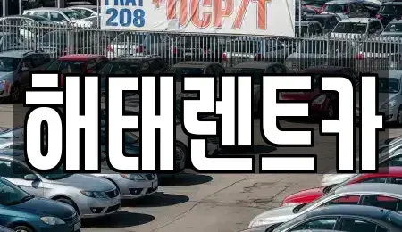 전라남도 영광군 렌트카 전문 해태렌트카