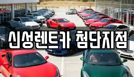 전라남도 장성군 남면 렌트카 전문 신성렌트카 첨단지점