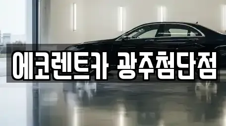 전라남도 장성군 남면 렌트카 전문 에코렌트카 광주첨단점