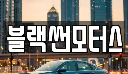 전라남도 장성군 남면 중고차 전문 블랙썬모터스